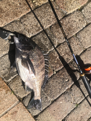 鳴尾浜臨海公園海づり広場