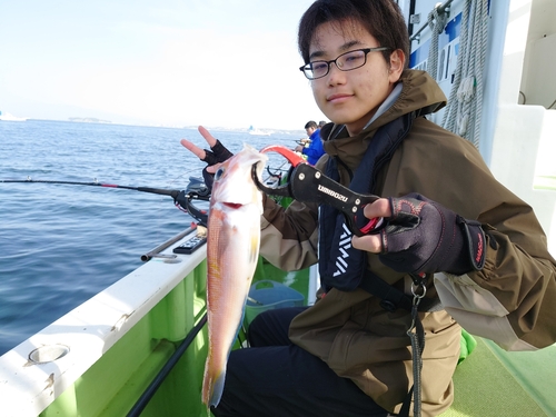 アカアマダイの釣果