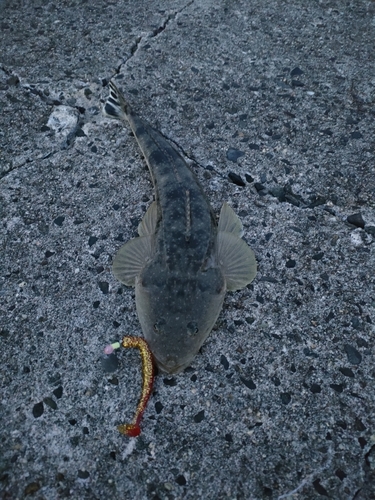 伊勢湾湾奥