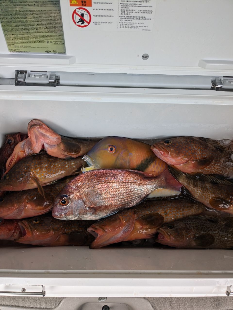 やすぴーの釣り日記さんの釣果 1枚目の画像