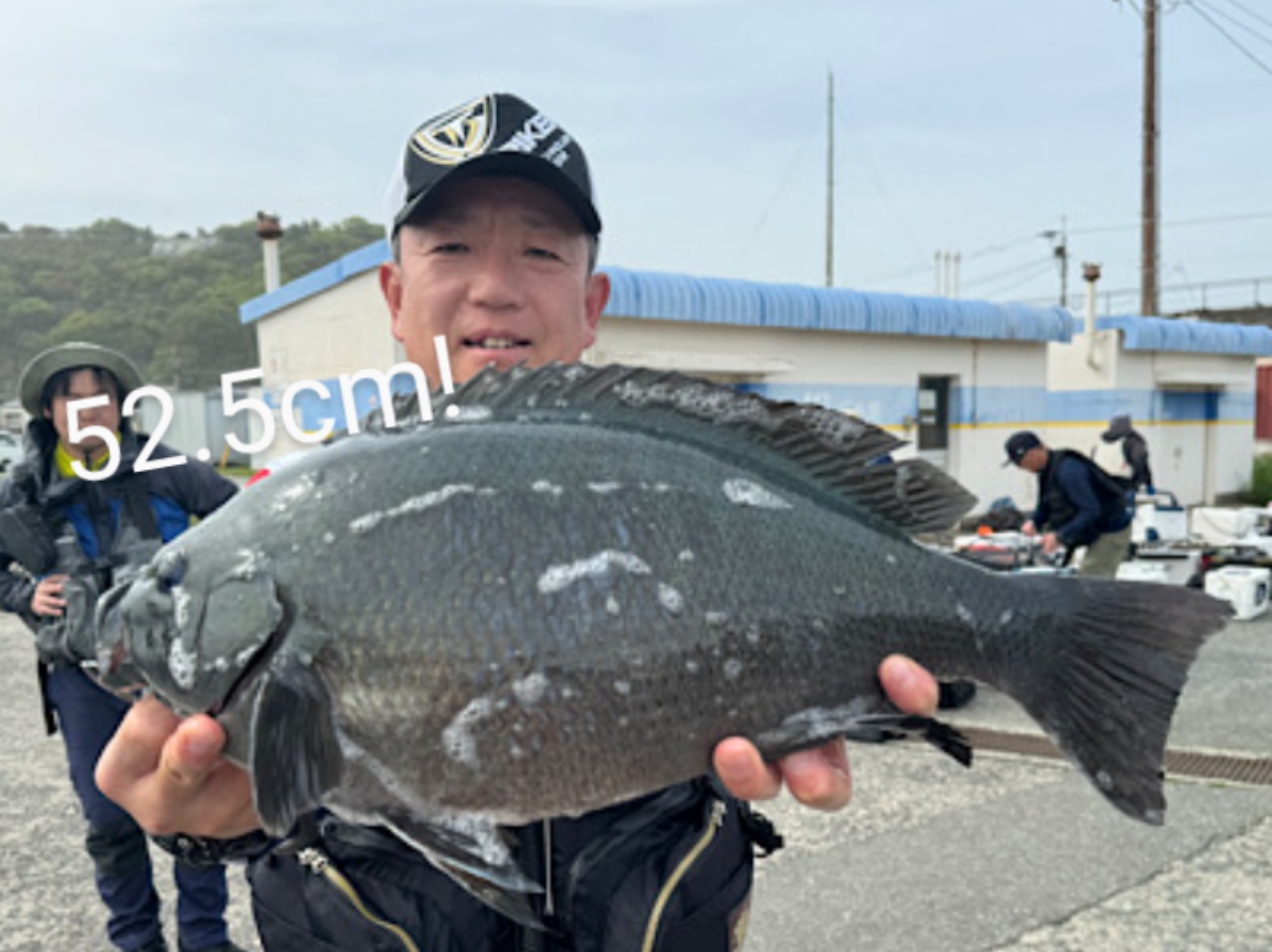 クチブトグレ