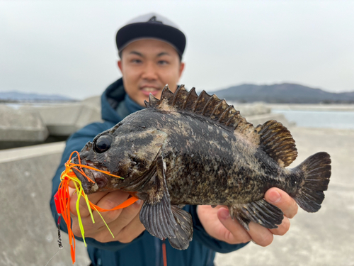 ムラソイの釣果