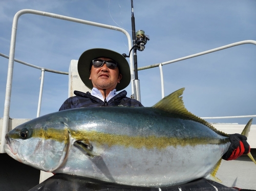 ヒラマサの釣果