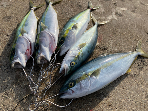 魚津漁港