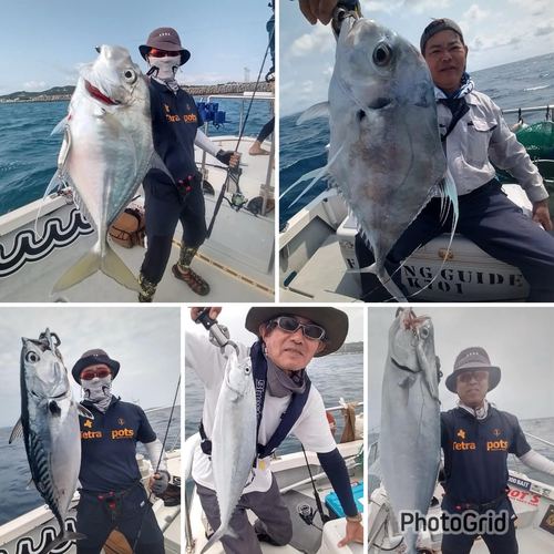 イトヒキアジの釣果