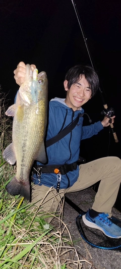 ブラックバスの釣果