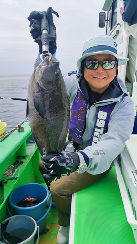 メジナの釣果