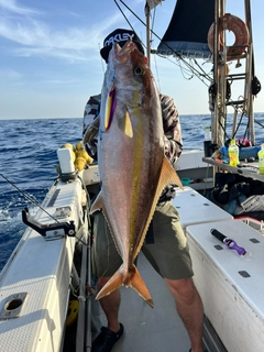 カンパチの釣果