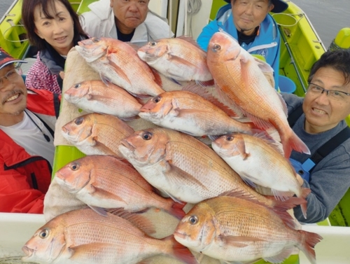 マダイの釣果