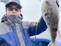 ショウサイフグの釣果