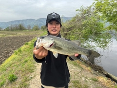 ブラックバスの釣果