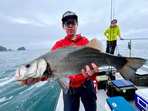 ヒラスズキの釣果