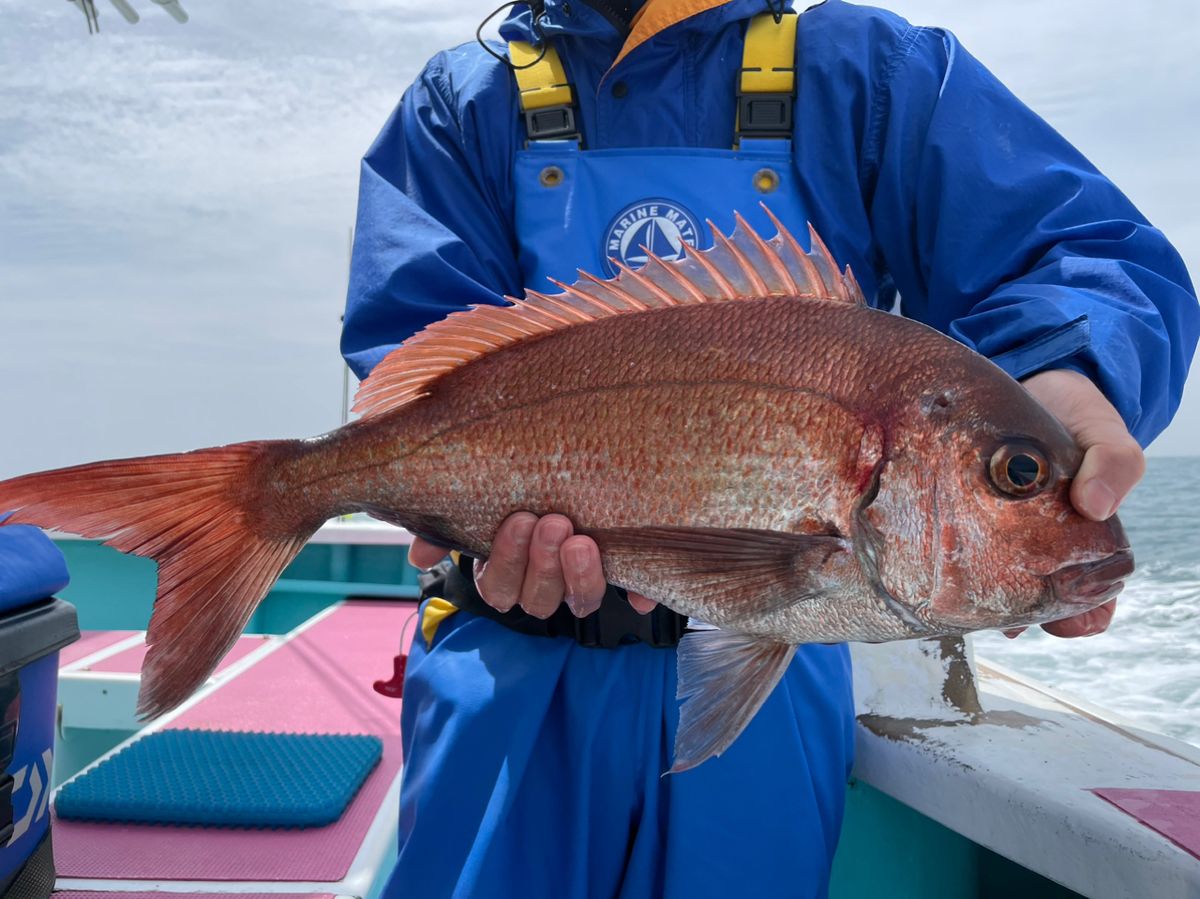 大原港　義丸　綾😊さんの釣果 2枚目の画像