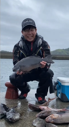 クチブトグレの釣果