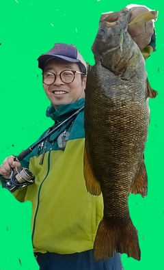 スモールマウスバスの釣果