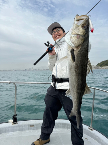 スズキの釣果