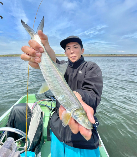 カライワシの釣果