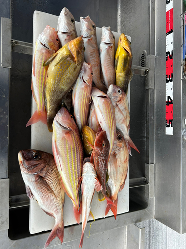 シロアマダイの釣果