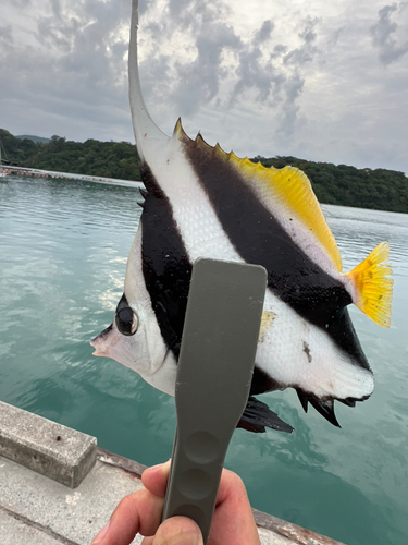 釣果