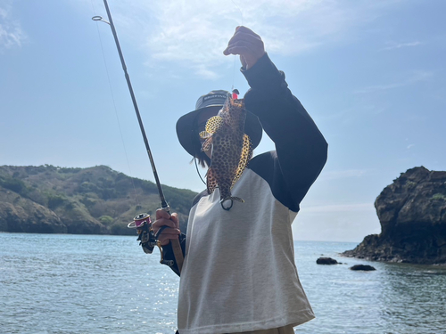 イシミーバイの釣果