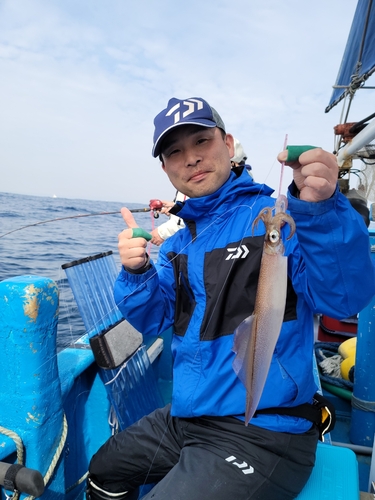 ヤリイカの釣果