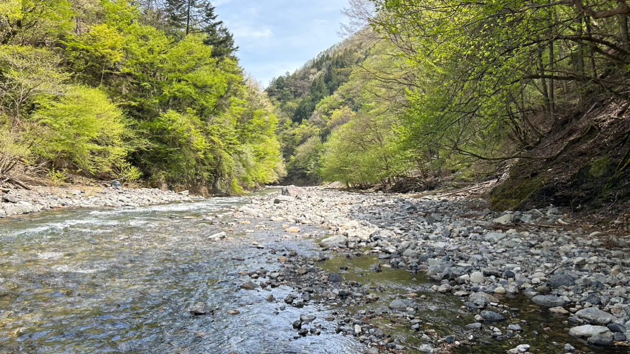 イワナ