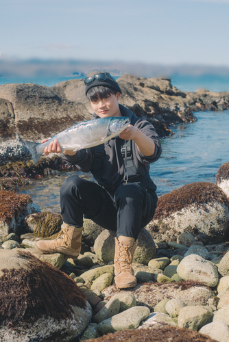 サクラマスの釣果