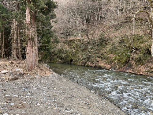 イワナの釣果