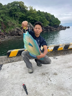 アオブダイの釣果