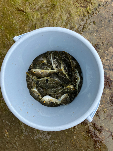 しまなみ海道