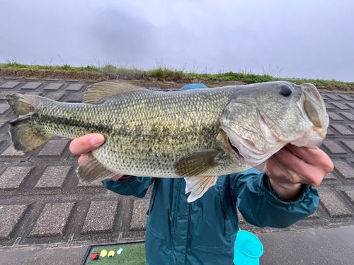 霞ヶ浦