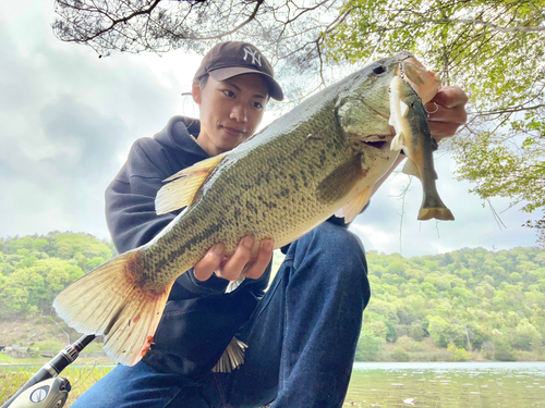 ブラックバスの釣果