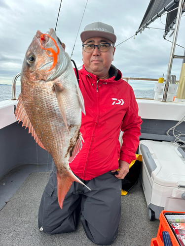 マダイの釣果