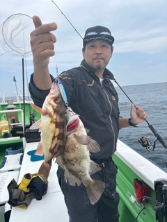 クロメバルの釣果