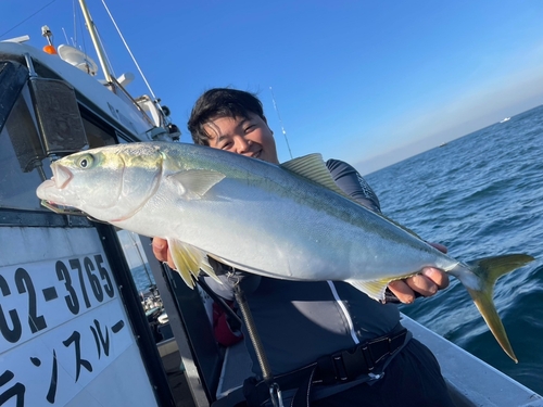 ブリの釣果