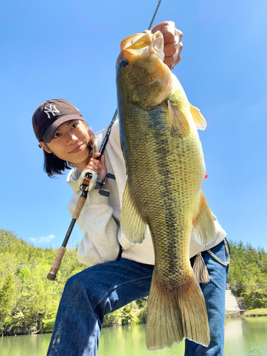 ブラックバスの釣果