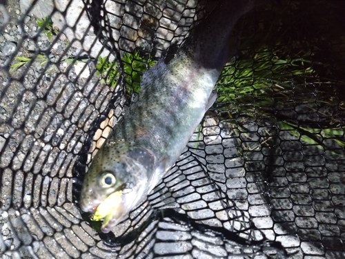 ベリーパーク in FISH ON! 王禅寺