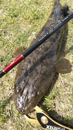 釣果