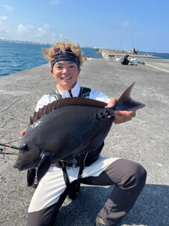 サンノジの釣果