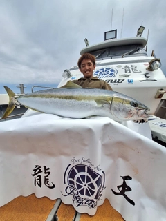 ヒラマサの釣果