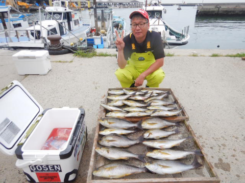 イサキの釣果