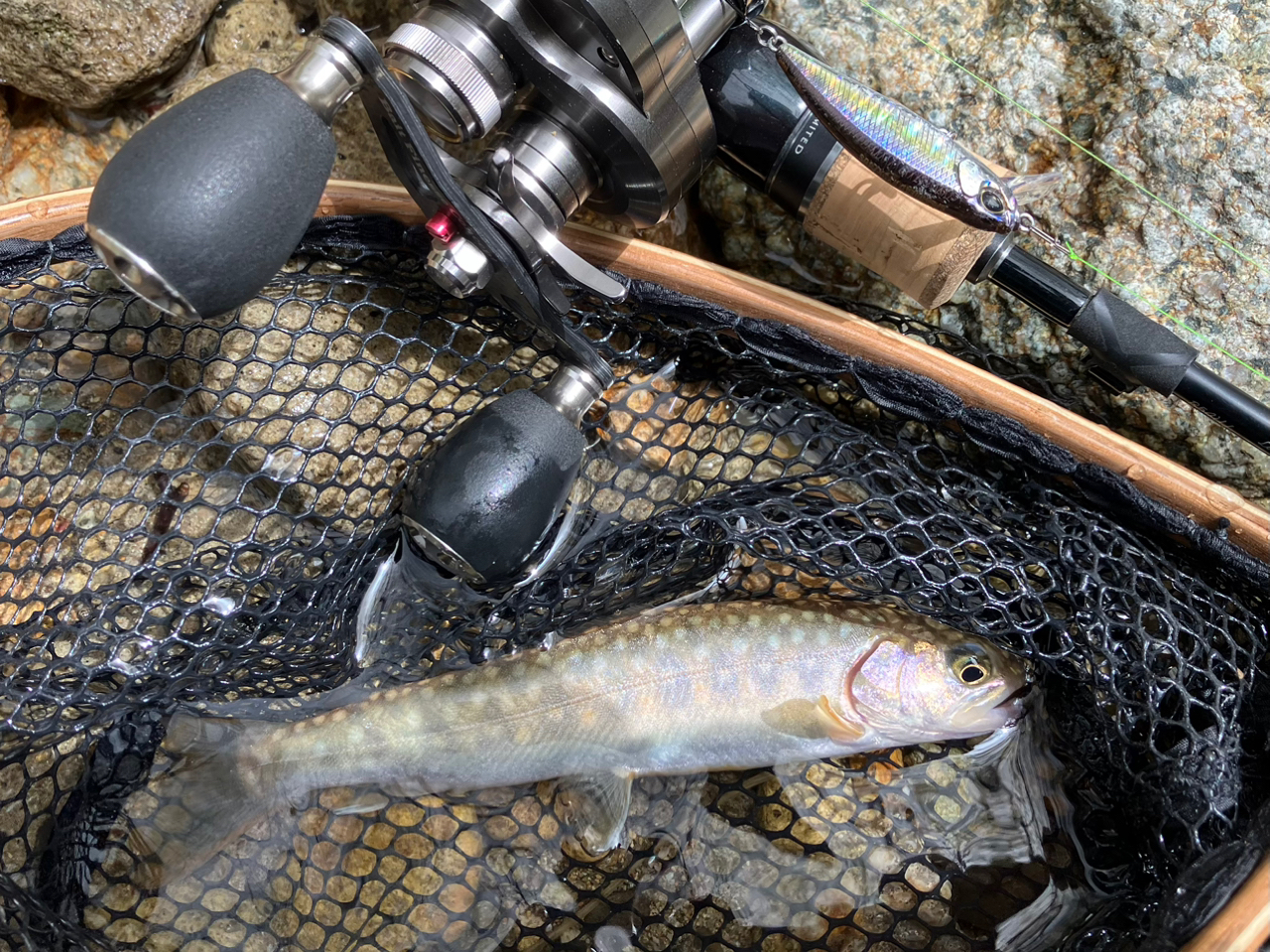 SHIMANO 22カーディフ ストリームリミテッド B54ULの最安値