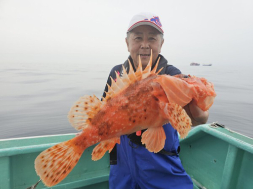 オニオコゼの釣果