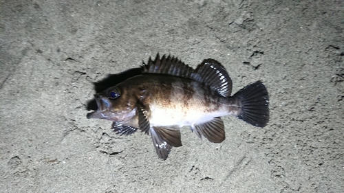 荒浜漁港公園