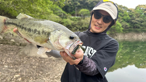 七川ダム湖