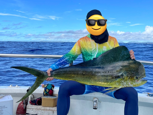 バショウカジキの釣果