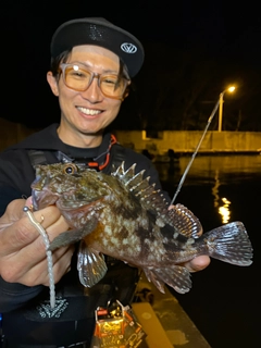 カサゴの釣果