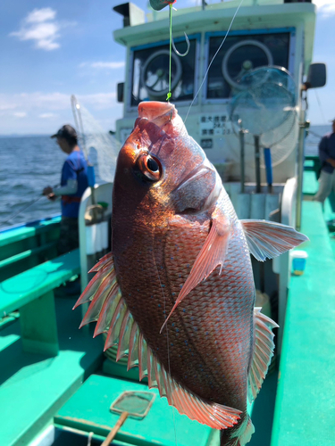 タイの釣果