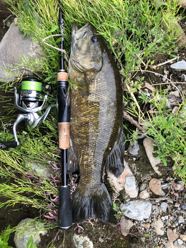 スモールマウスバスの釣果