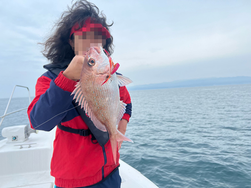 マダイの釣果